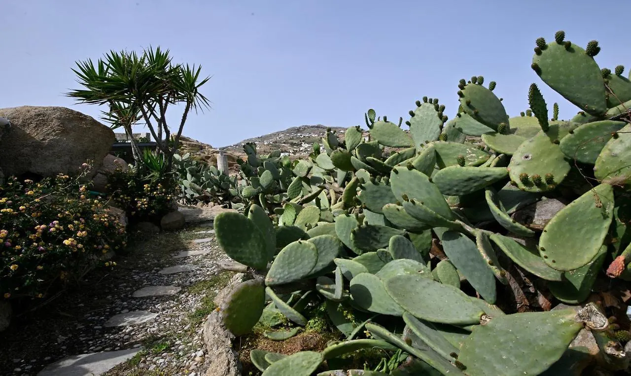 Charming Villa In Platis Gialos With Private Pool Paradise Beach